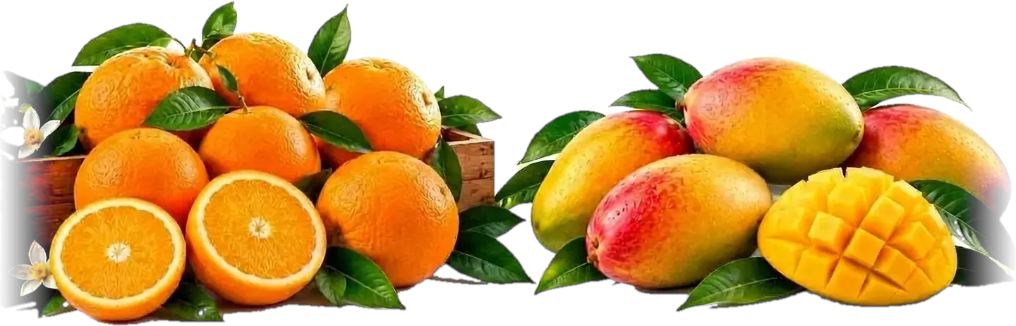 Pakistan’s Finest Fruits, Delivered to the World