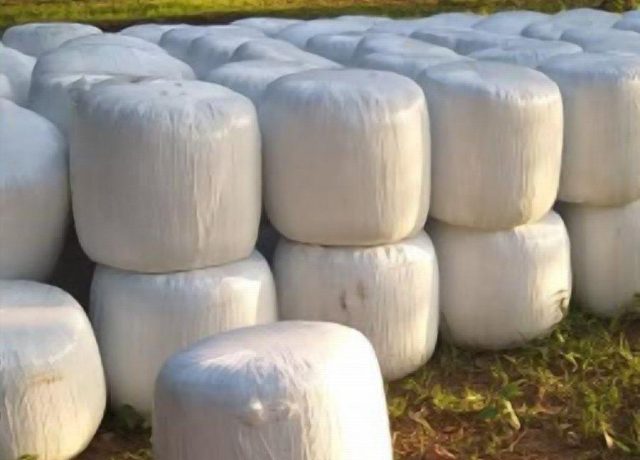 Bales