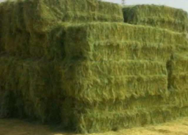 Pressed bales