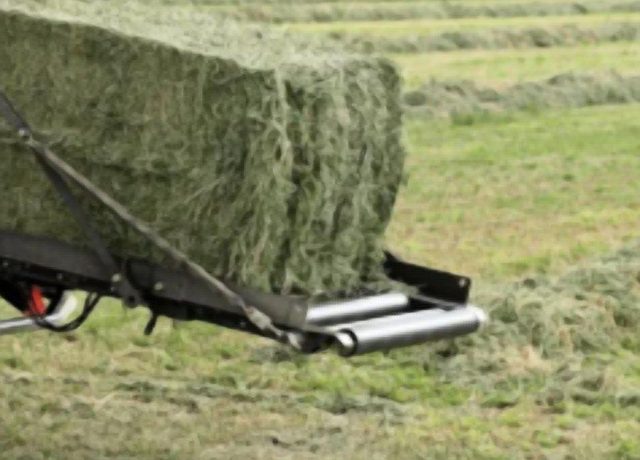 Field processing