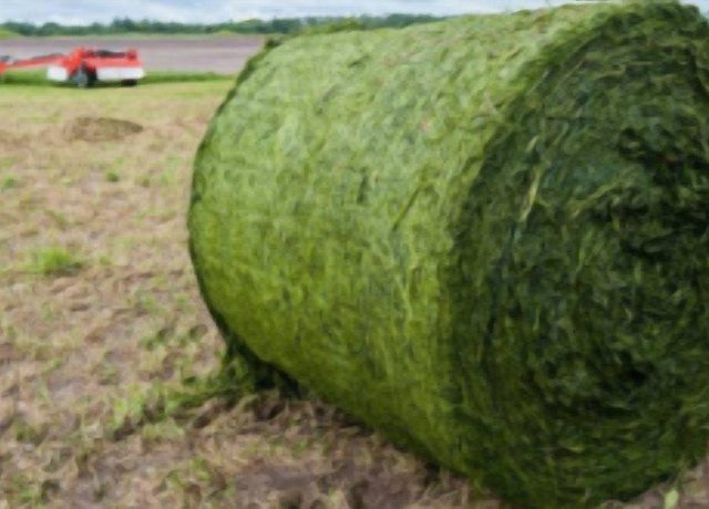 Round bale
