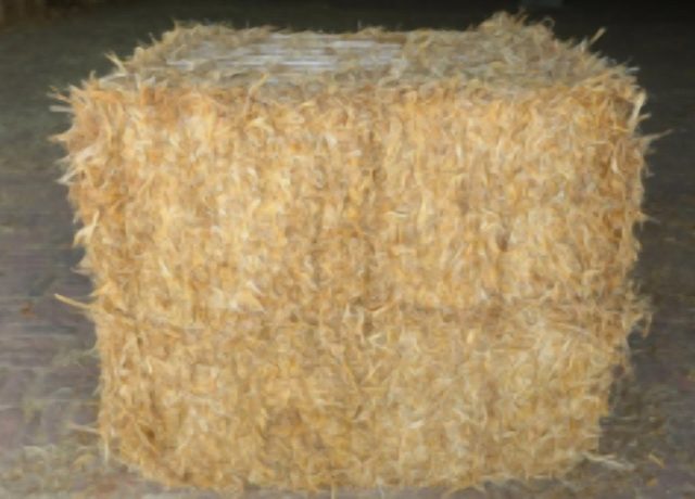 Long straw hay (wheat straw hay)