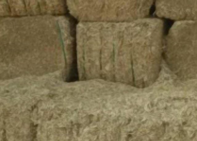 Raw & pressed wheat straw hay