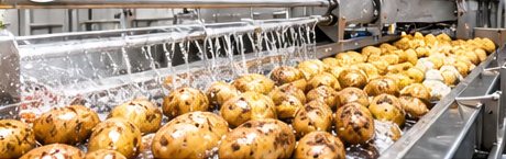Potato washing line at IESOL