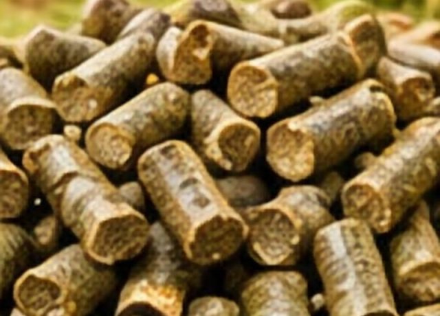 Alfalfa Pellets Alfalfa