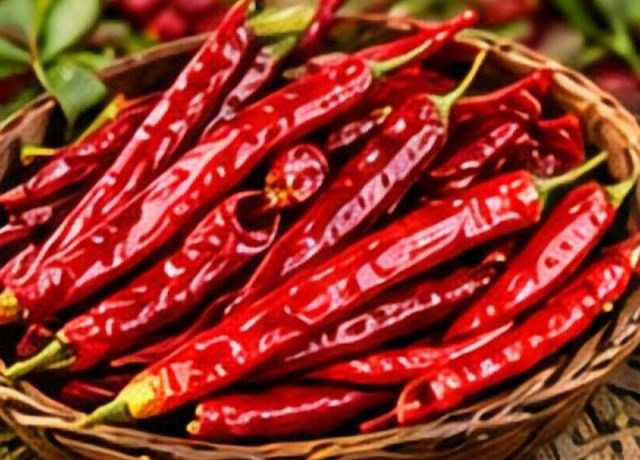 Long Red Chilli Red Chilli