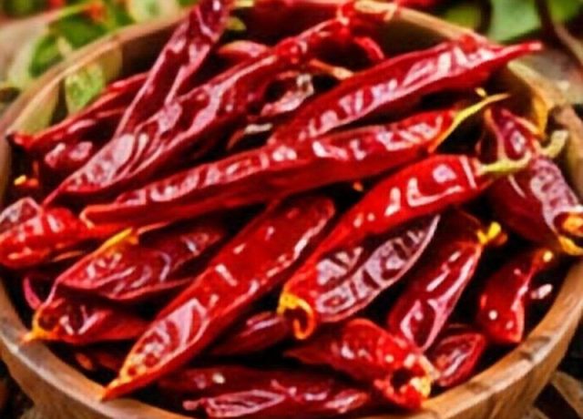 Thin Red Chilli Red Chilli