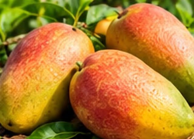 Anwar Ratol Mango