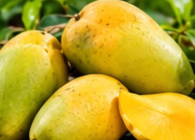 Dusehri Mango