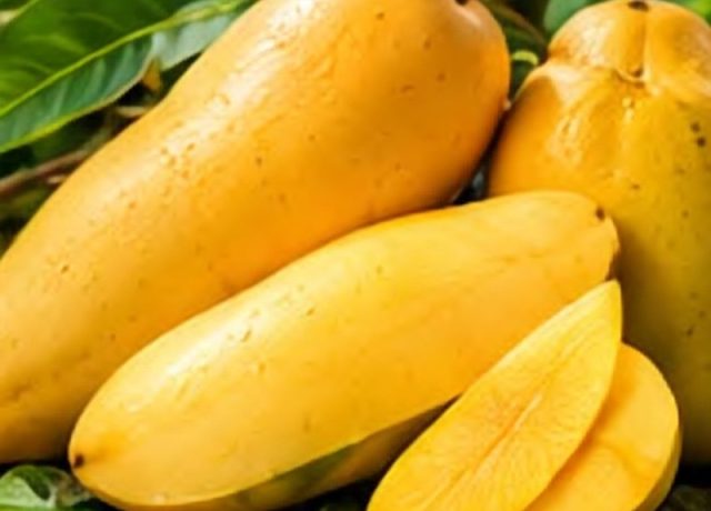 Fazli Mango