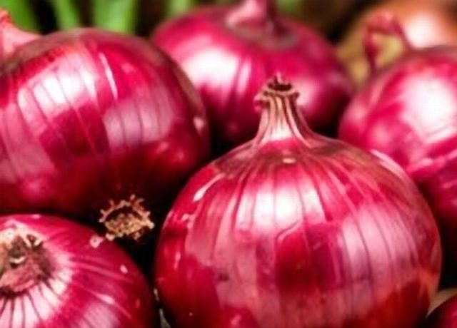 Red Onion Onion