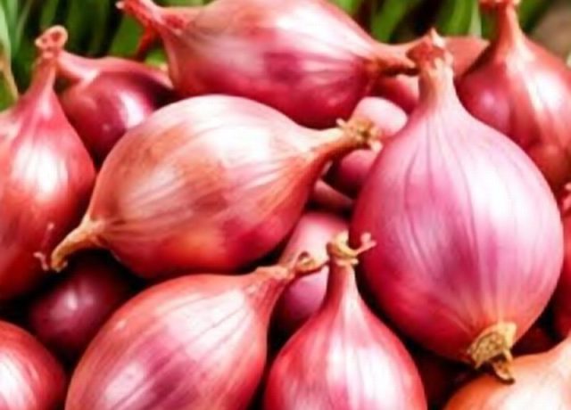 Shallot Onion