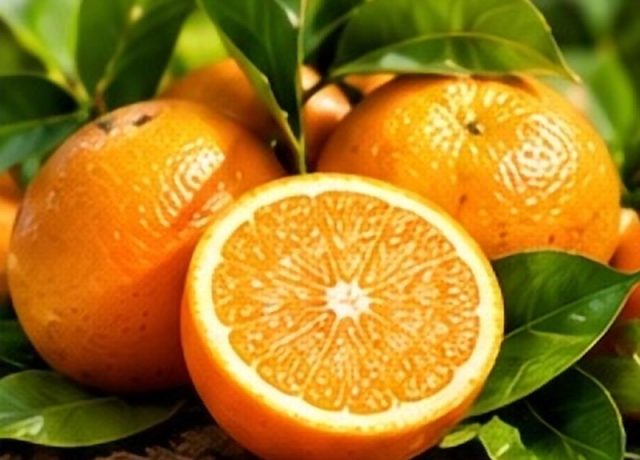 Fruiter Orange