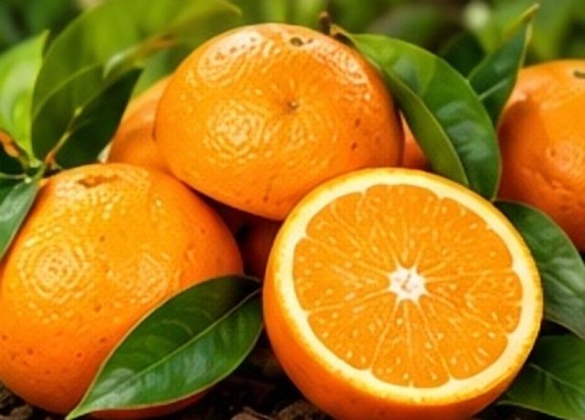 Kinnow Orange