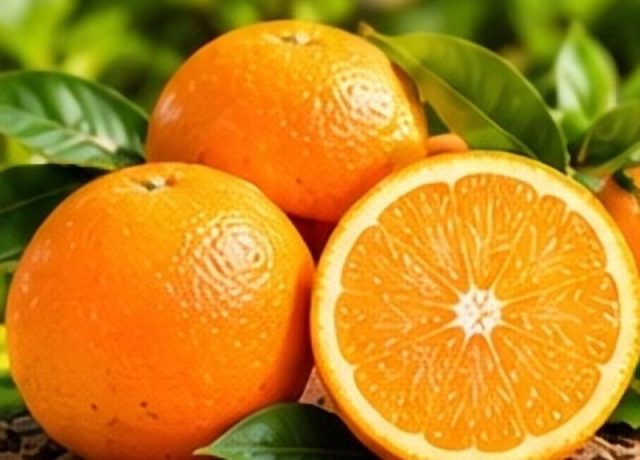 Malta Orange