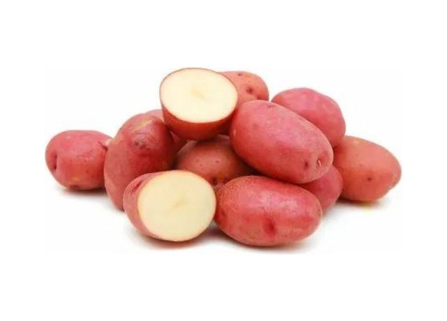 Lady Rosetta Potato