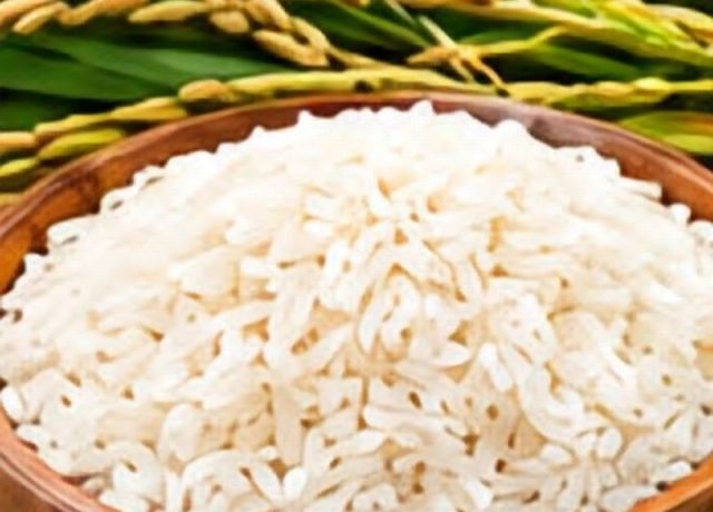 IRRI-9 Rice